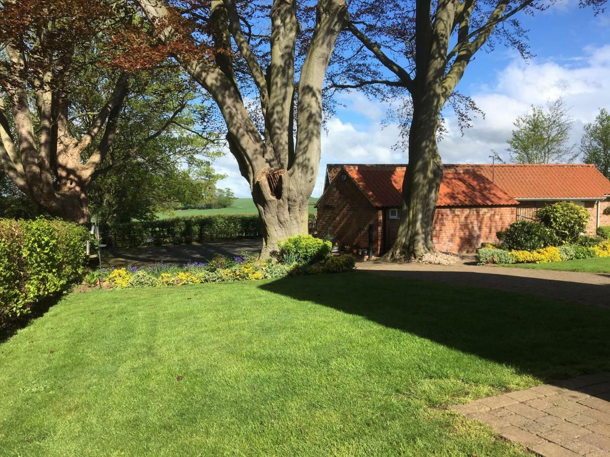 Crossways Self-Catering Cottage - Self Contained East Ravendale Buitenkant foto